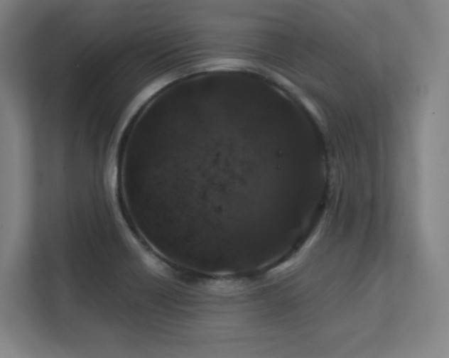 X0000111791418200907231134