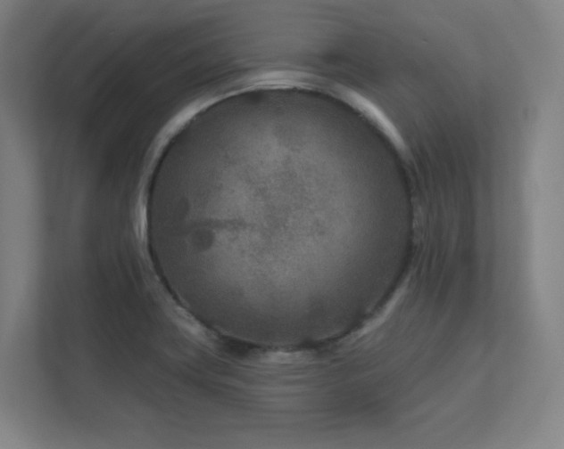 X0000111791419200907231134