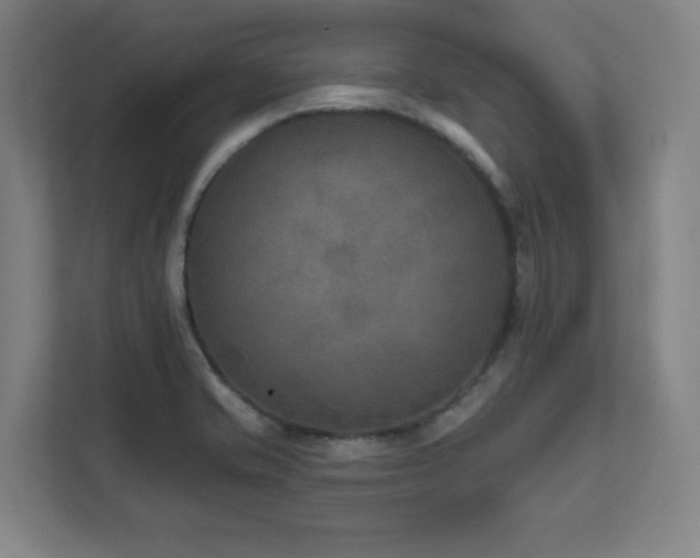 X0000111791421200907231134