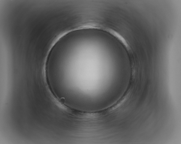 X0000111791423200907231134