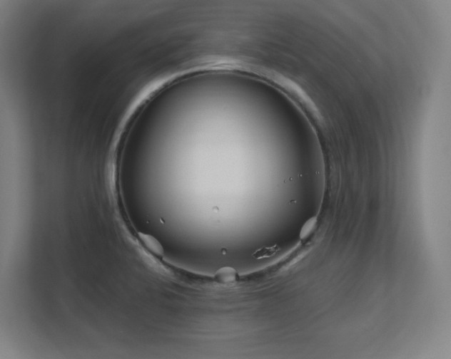 X0000111791424200907231134