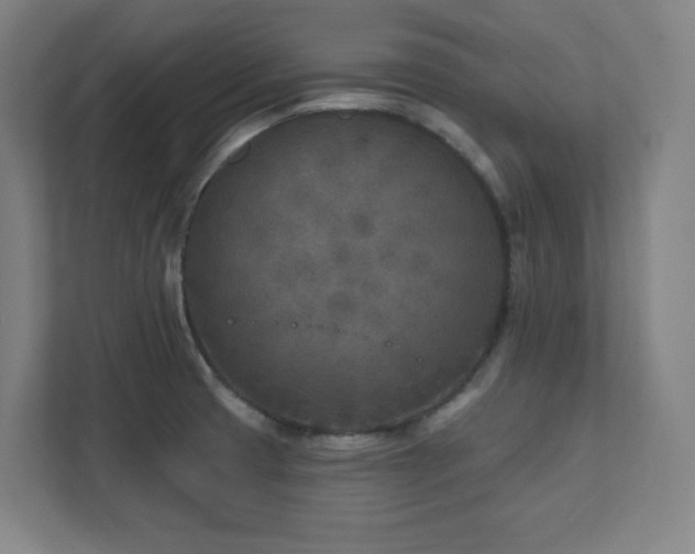 X0000111791425200907231134
