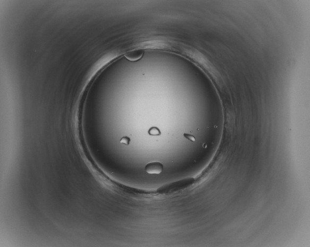 X0000111791426200907231134