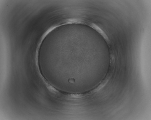 X0000111791427200907231134
