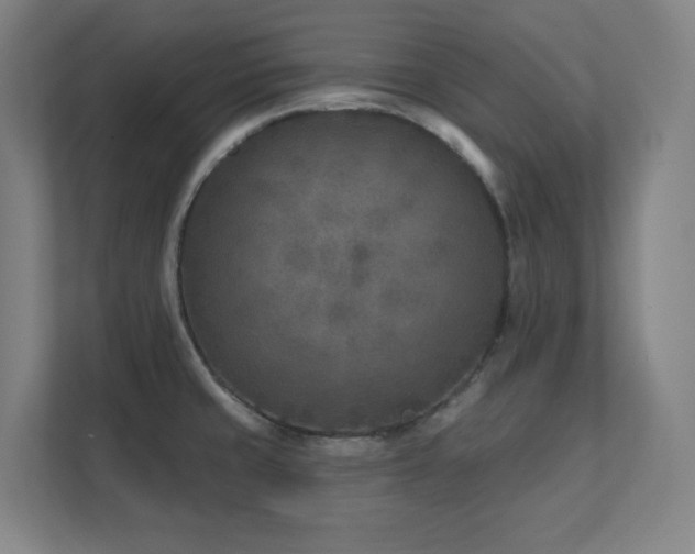 X0000111791429200907231134