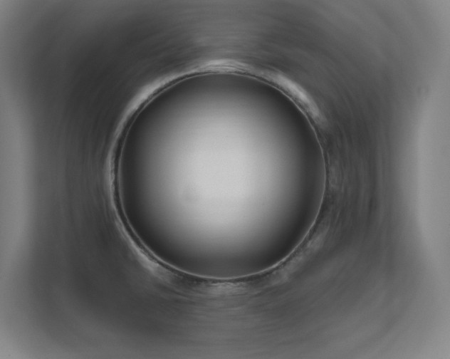 X0000111791430200907231134