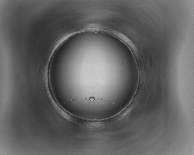 X0000111791431200907231134