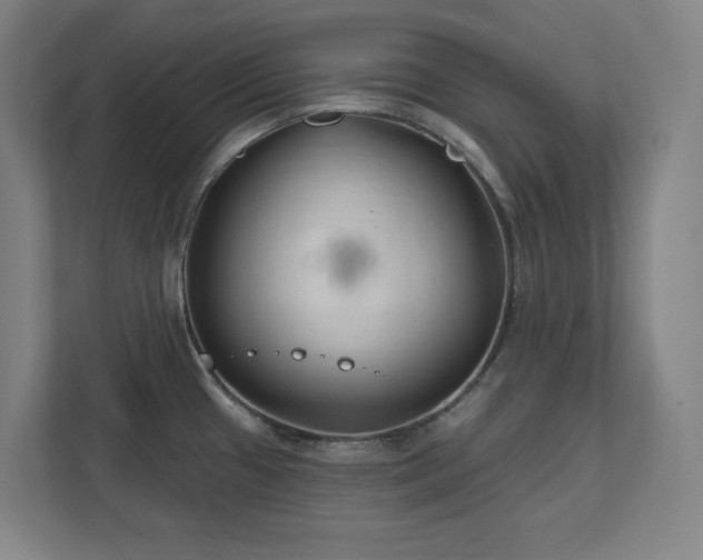 X0000111791433200907231134