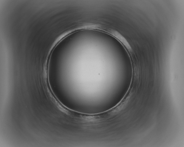 X0000111791436200907231134