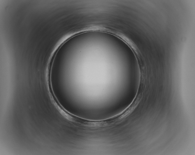X0000111791438200907231134