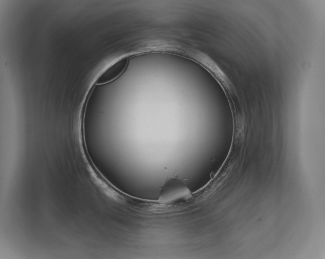 X0000111791439200907231134