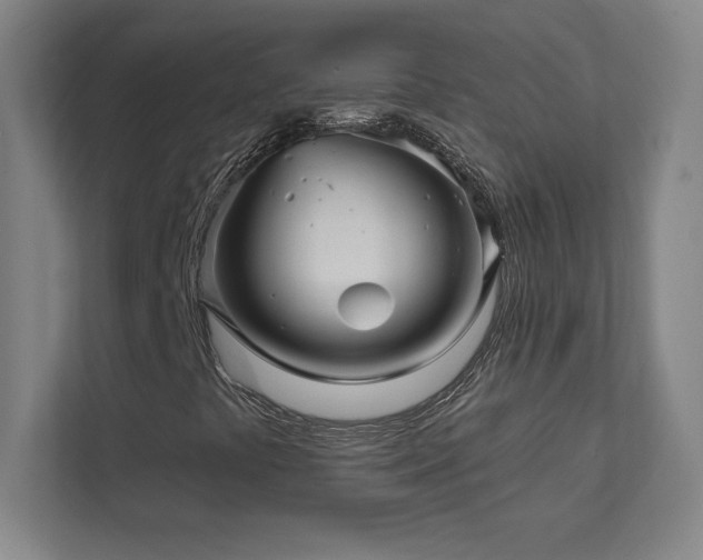 X0000111791441200907231133