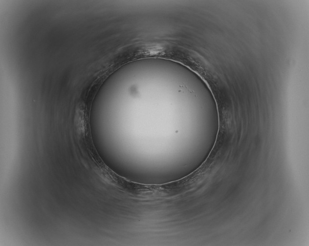 X0000111791442200907231133
