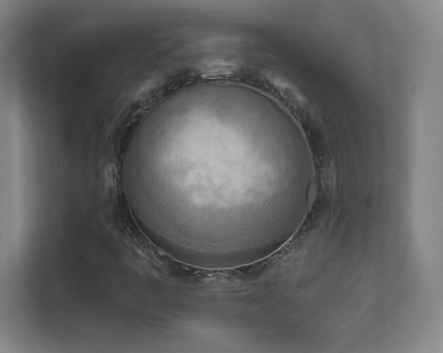 X0000111791445200907231133