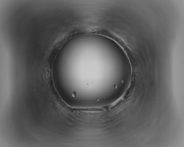 X0000111791447200907231133