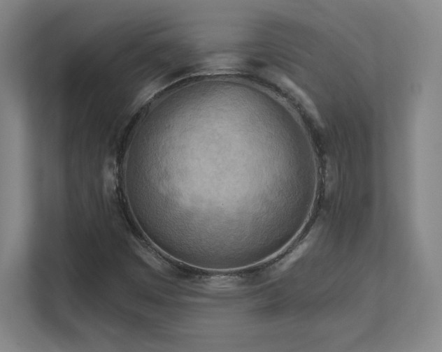 X0000111791449200907231133