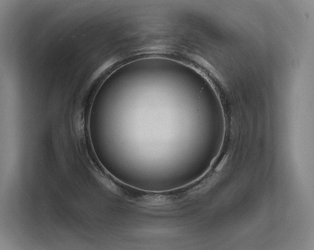 X0000111791450200907231133