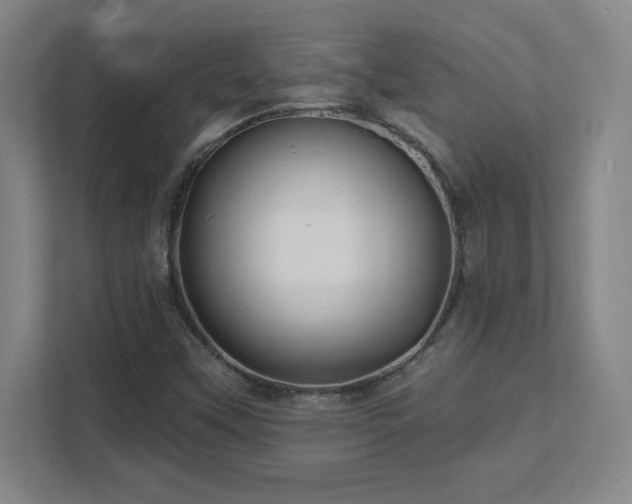 X0000111791451200907231133