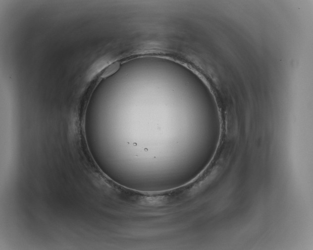 X0000111791453200907231133