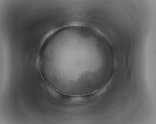 X0000111791454200907231133