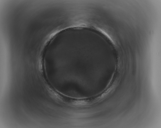 X0000111791455200907231133