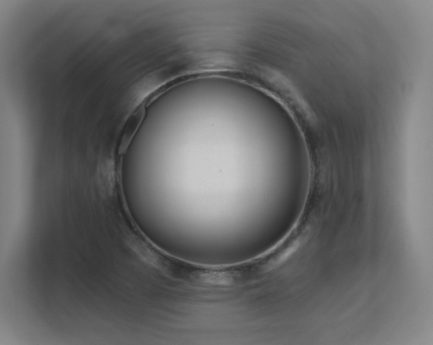 X0000111791457200907231133