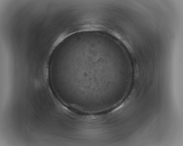 X0000111791459200907231133