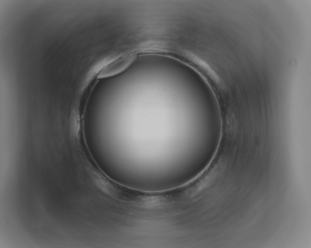 X0000111791461200907231133