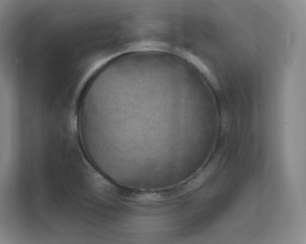 X0000111791462200907231133