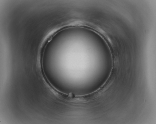 X0000111791464200907231133