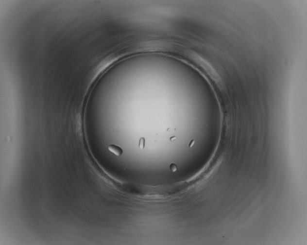 X0000111791465200907231133