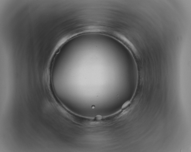 X0000111791467200907231133