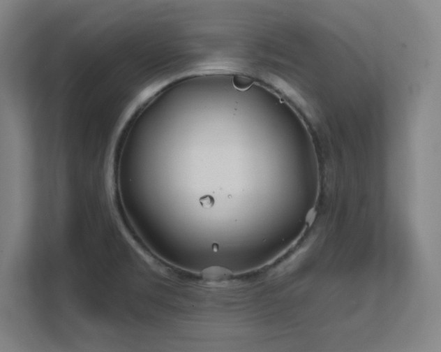 X0000111791469200907231133