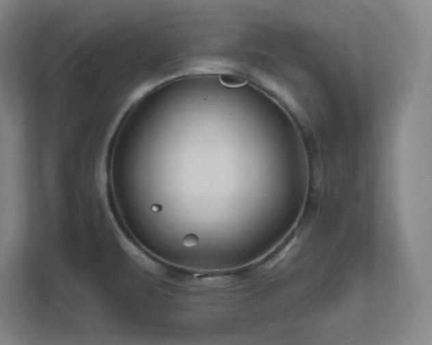 X0000111791471200907231133
