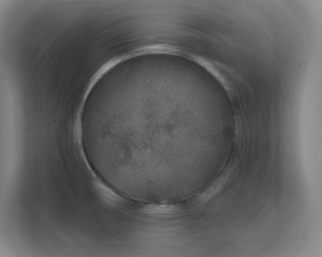 X0000111791474200907231133