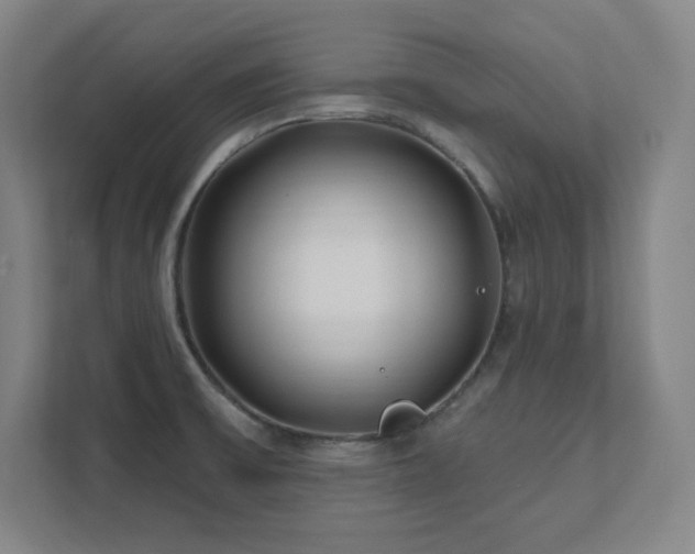 X0000111791475200907231133