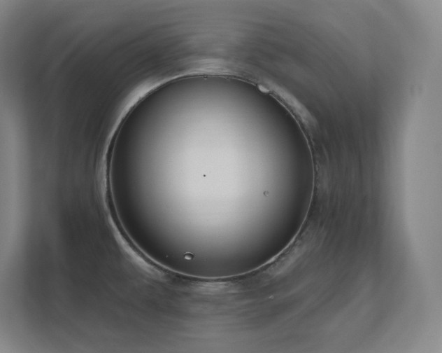 X0000111791479200907231133