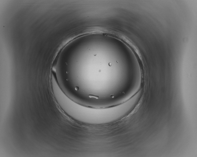 X0000111791481200907231133