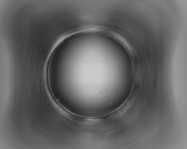 X0000111791483200907231133