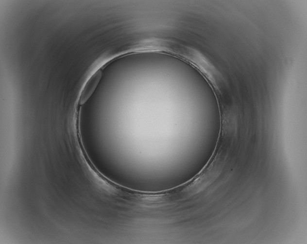 X0000111791484200907231133