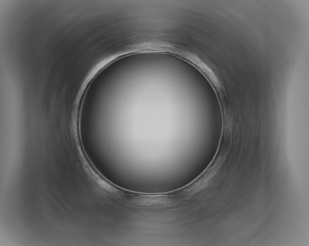 X0000111791486200907231133
