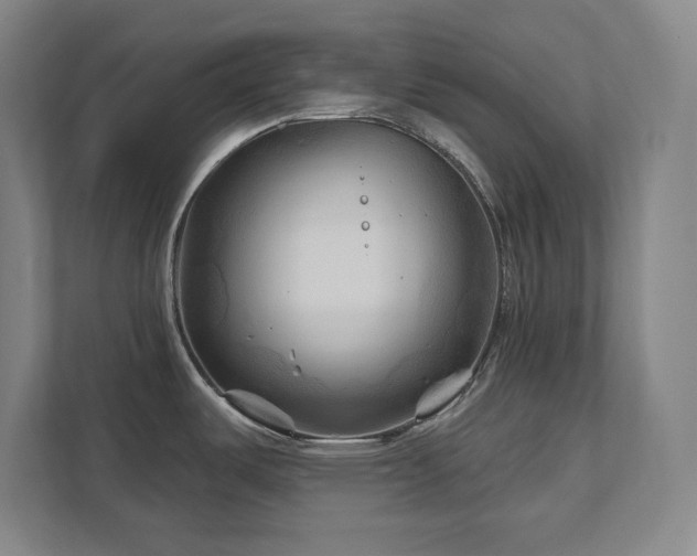 X0000111791487200907231133
