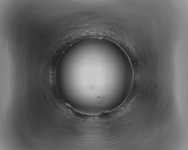X0000111791490200907231132