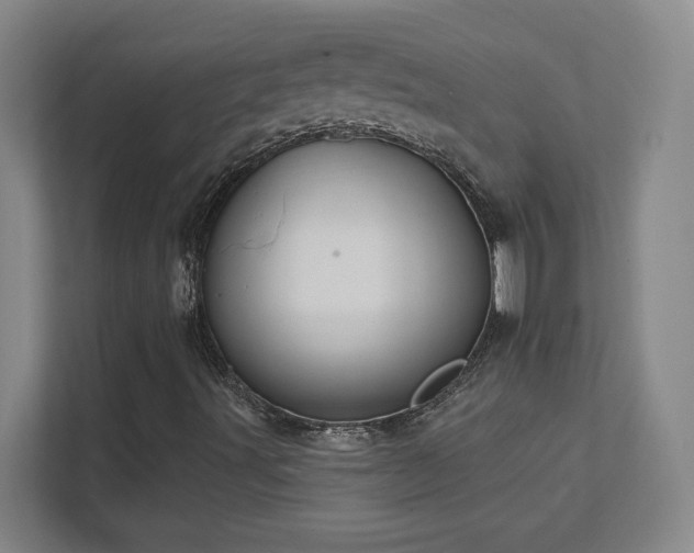 X0000111791491200907231132