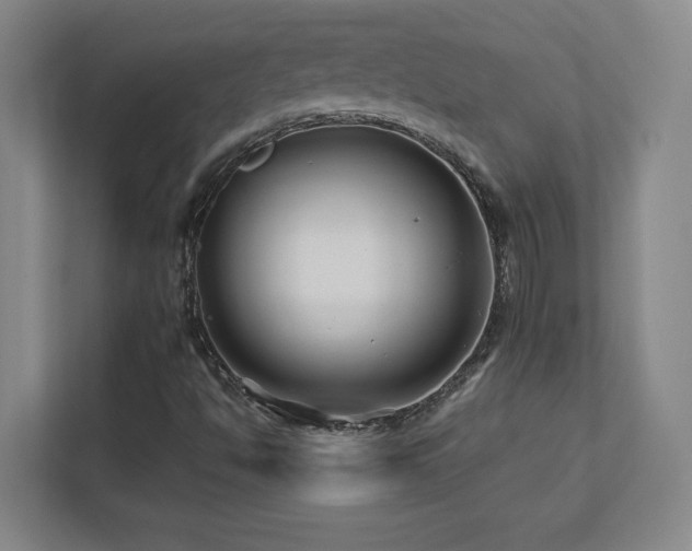 X0000111791494200907231132