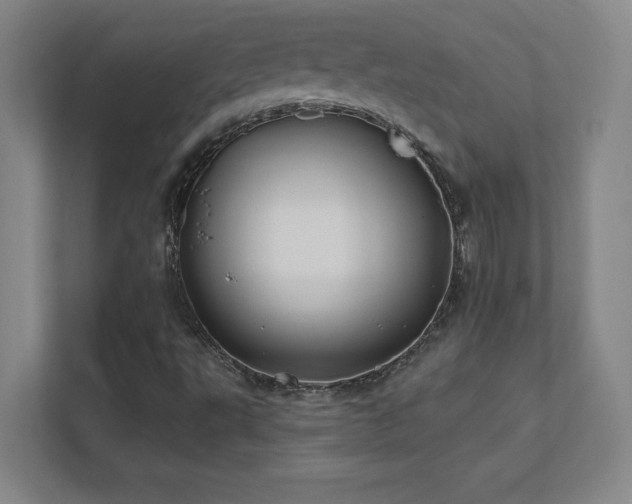 X0000111791495200907231132