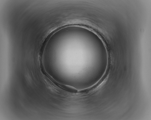 X0000111791497200907231132