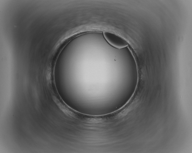 X0000111791499200907231132