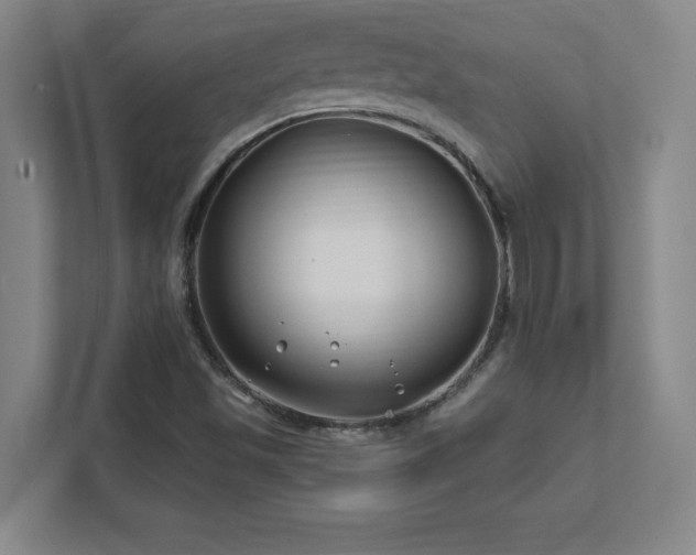 X0000111791501200907231132