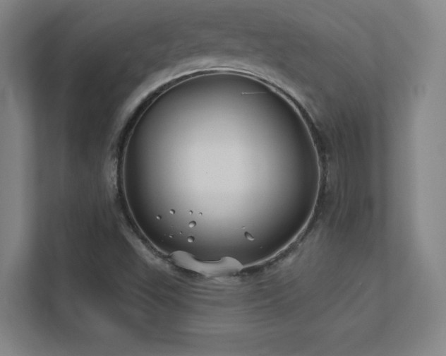 X0000111791503200907231132